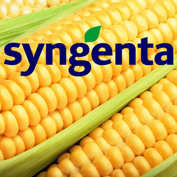 Syngenta East Africa Limited